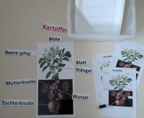 products Kartoffel1