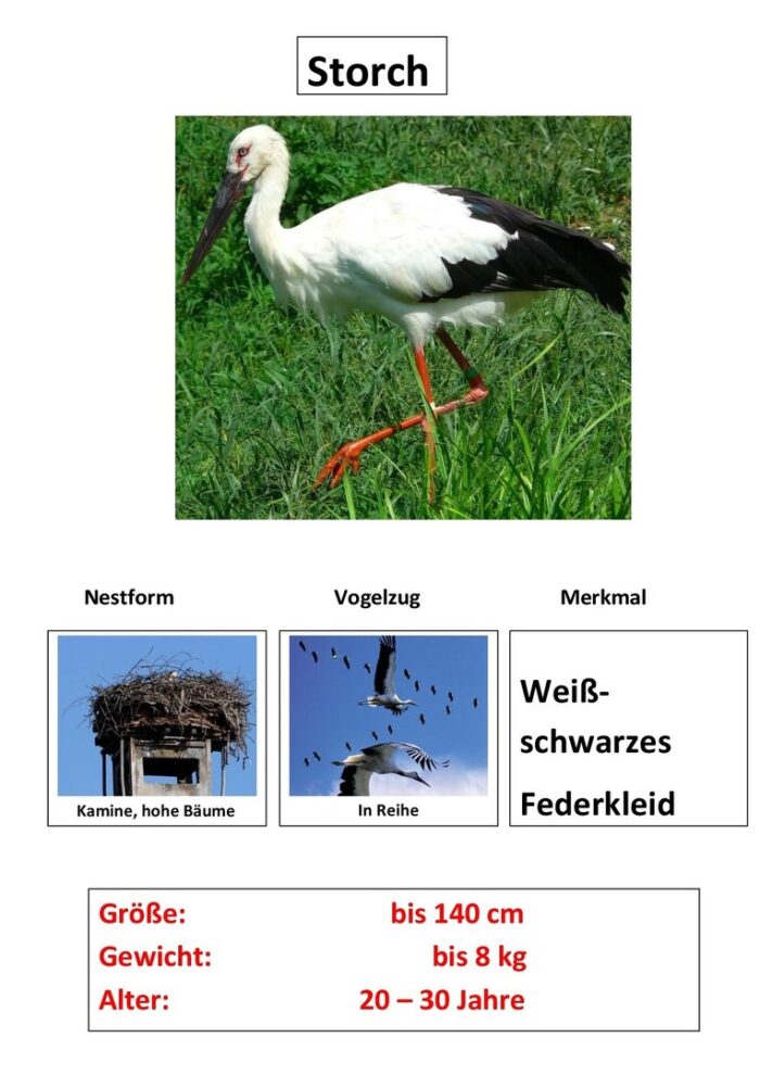 products Storch